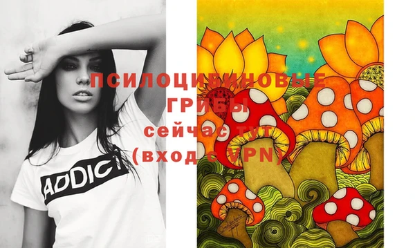 мдма Медвежьегорск